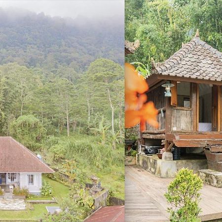 Four Monkeys House Villa Bedugul  Luaran gambar