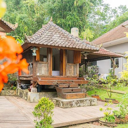 Four Monkeys House Villa Bedugul  Luaran gambar