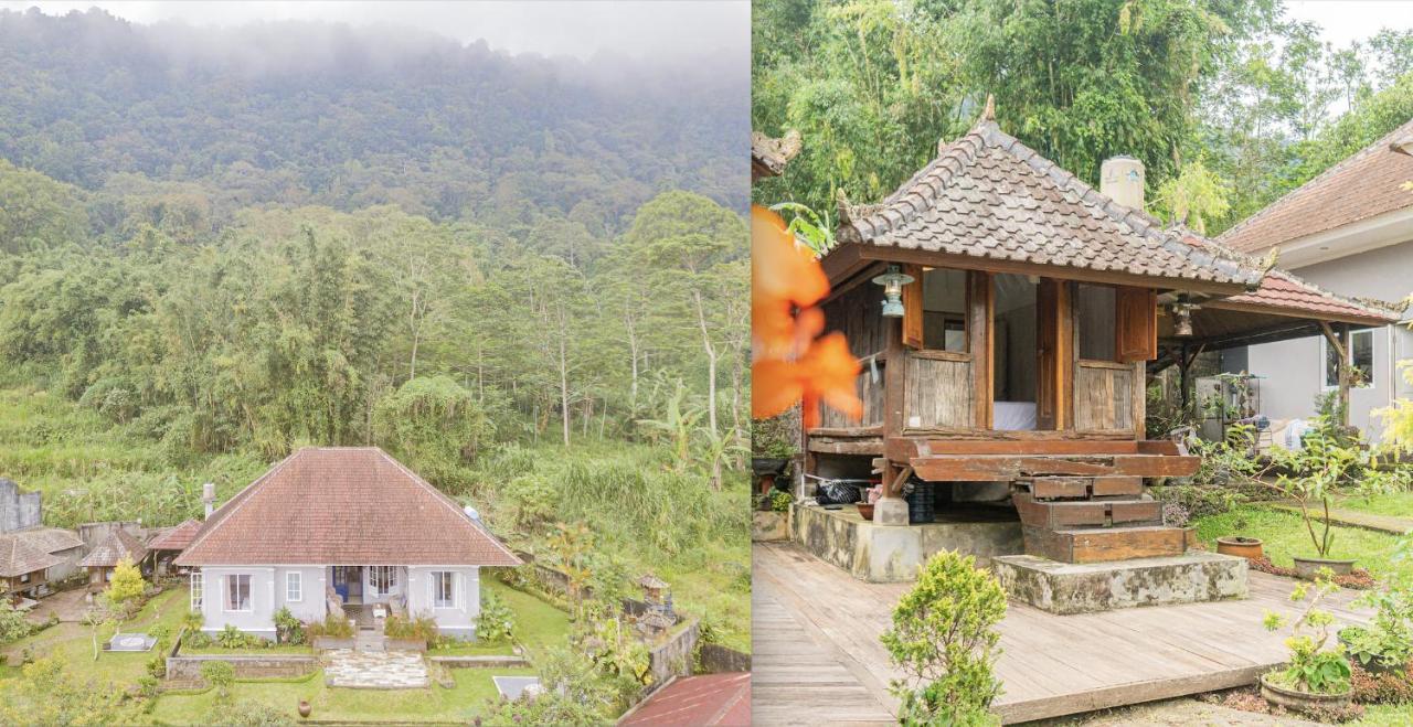 Four Monkeys House Villa Bedugul  Luaran gambar