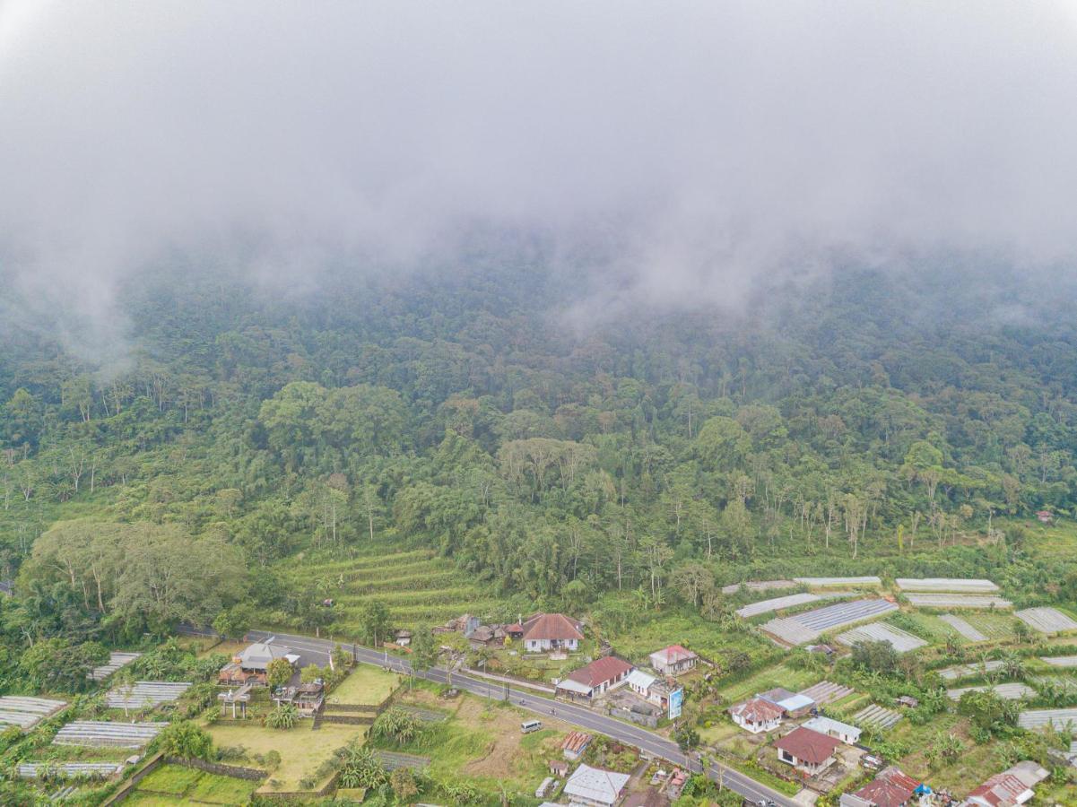 Four Monkeys House Villa Bedugul  Luaran gambar