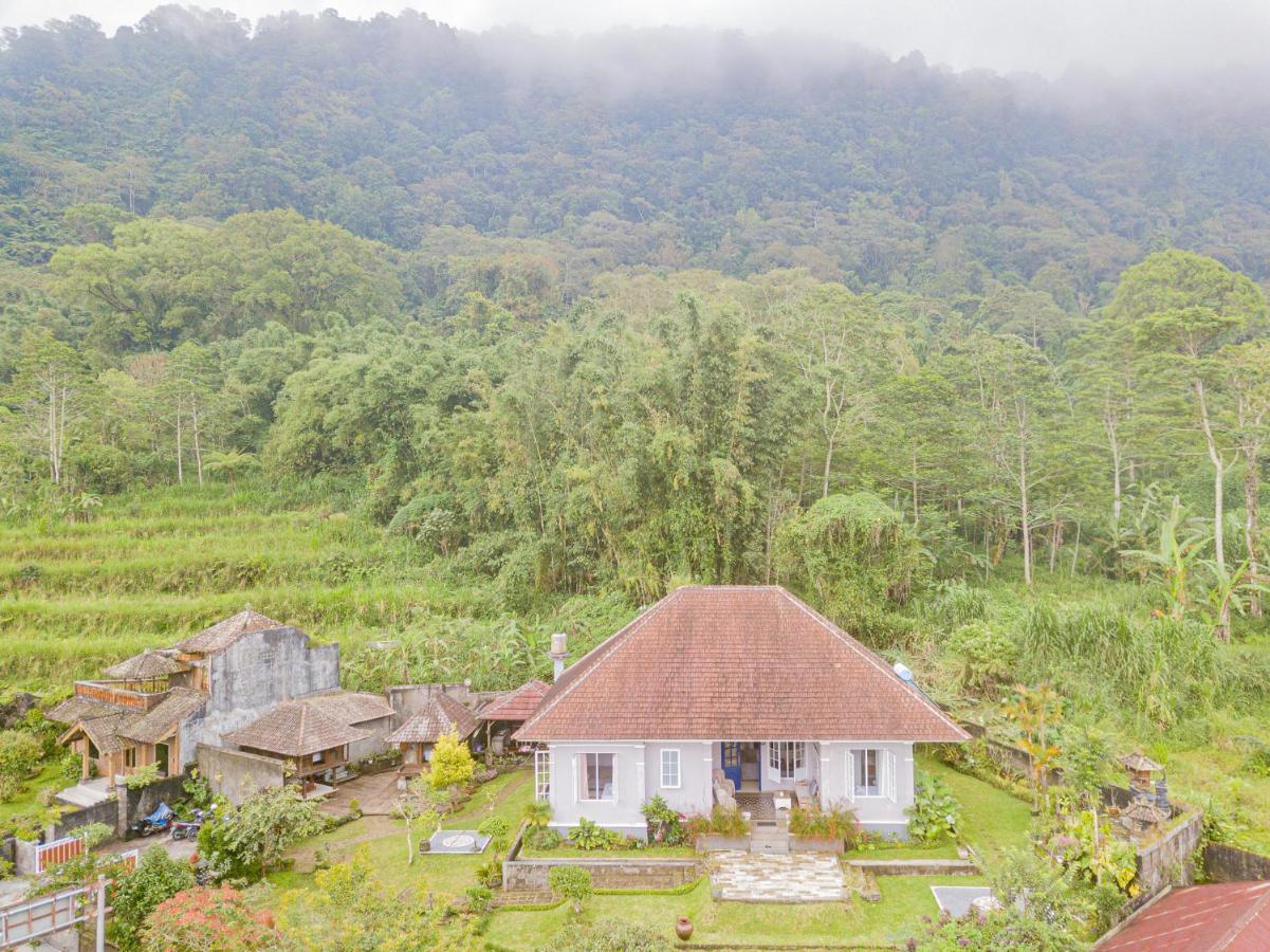 Four Monkeys House Villa Bedugul  Luaran gambar